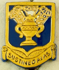AAC Technical Training Command Crest DI/DUI Pinback PLASTIC, PAINTED