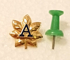 US Coast Guard Auxiliary Division Vice Commander Cap Rank Pin picture