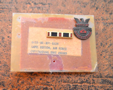 UNITED STATES AIR FORCE OUTSTANDING UNIT AWARD LAPEL BUTTON BADGE