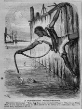 LIFESAVING ATTEMPT DROWNING NEGROPHOBIST REFUSES TO TAKE THE ROPE TO SAVE LIFE