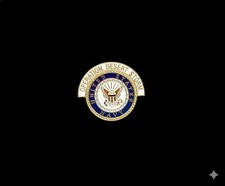 U.S. Navy Desert Storm Lapel Pin - 1"