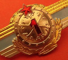 KAZAKHSTAN Army Specialist Badge 1cl. Ex Soviet Kazakh Russian made Wings BRASS