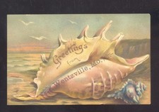 GREETINGS FROM WENTZVILLE MISSOURI MO. LARGE SEASHELL VINTAGE POSTCARD MOBERLY