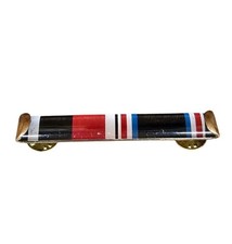 WWII Veteran Otto Lachmann Custom Lucite Ribbon Bar POW & Army of Occupation Pin