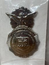 USAF Badge Pin Security Forces  picture