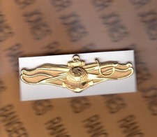 USN Navy Naval Officer Information Warfare Specialist ~3" fullsized badge c/b