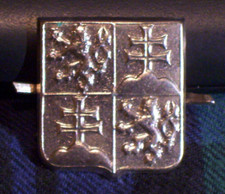 Czechoslovakia Military Pin Badge Officer Army Czech Bohemian Bohemia CSFR era