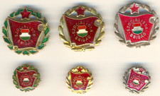Soviet ERA Medal red Order star Banner  Badge Hungary Communist Labor  (1173)