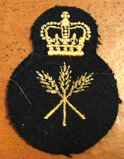 CANADA Canadian Armed Forces trade cook FOOD technician qualification level 3