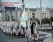 WW2 8x10 Photo Swedish Women Voluntary Defence Organization O8446