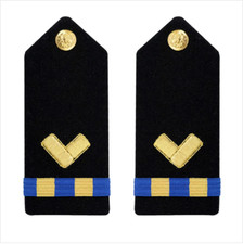 GENUINE U.S. NAVY SHOULDER BOARD: WARRANT OFFICER 2 RT REPAIR TECHNICIAN